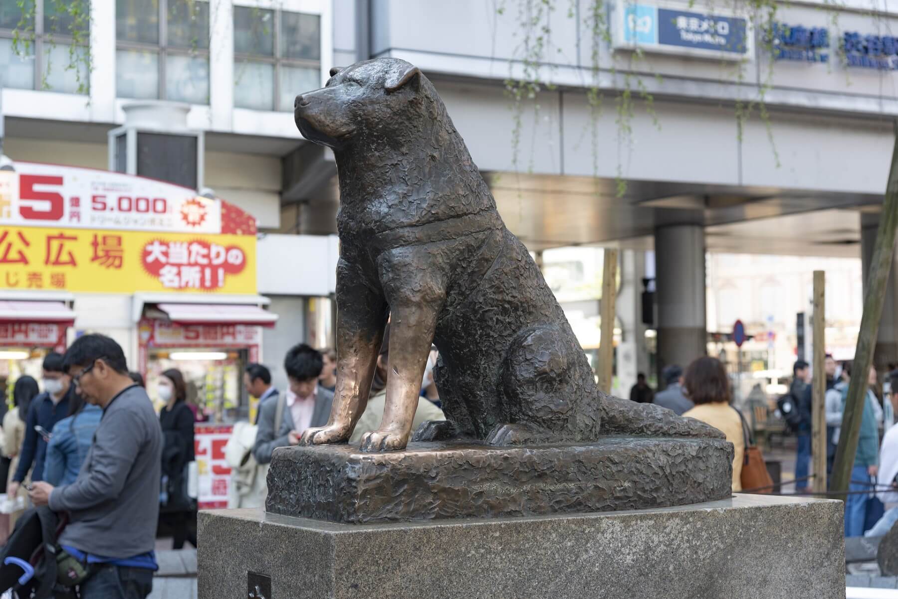Statue of Hachiko at Shibuya Crossing, Tokyo