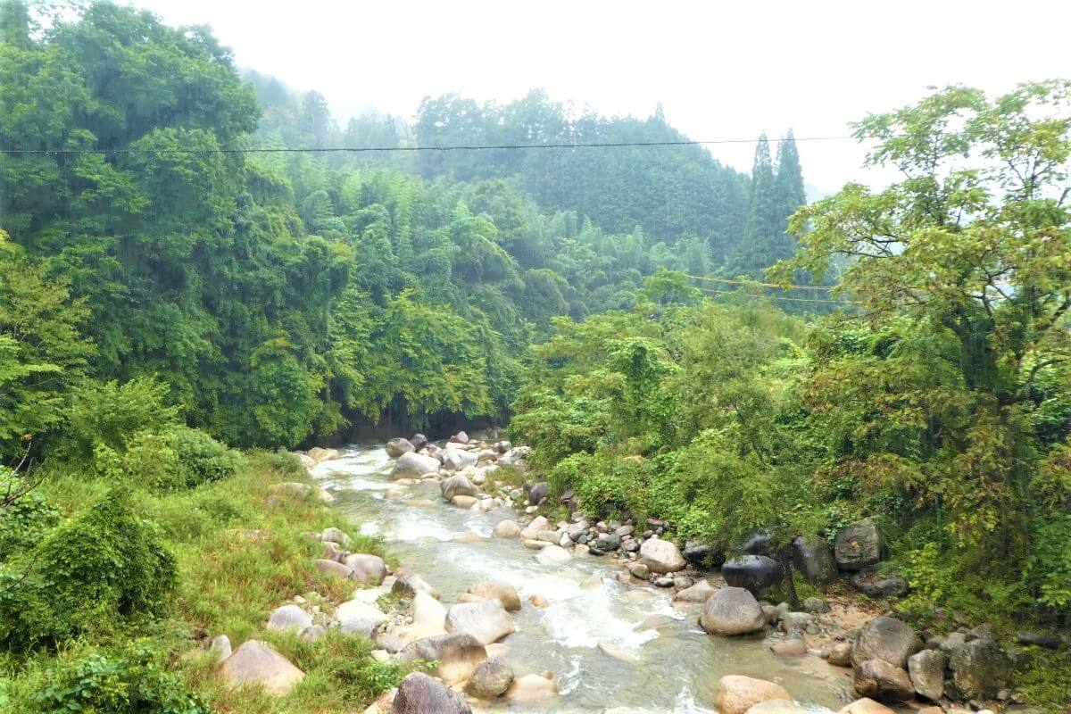 The beautiful nature of the Nakasendo Trail in Japan