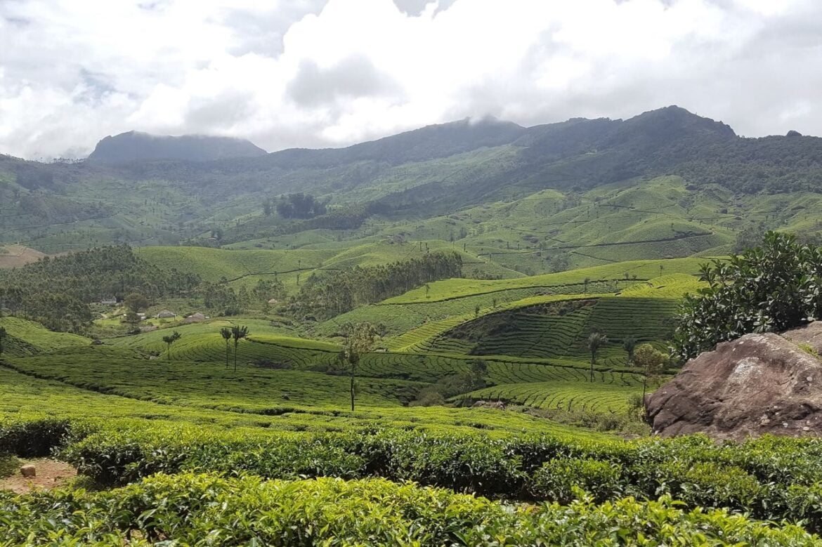 Travel Guide of History to Munnar in India