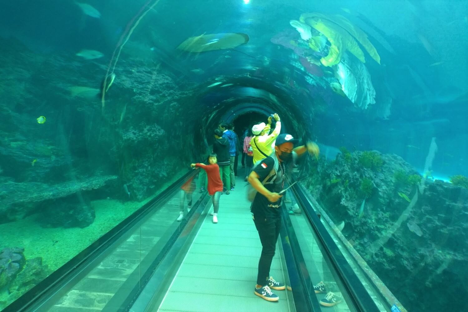 National Museum of Marine Biology & Aquarium, Kenting National Park