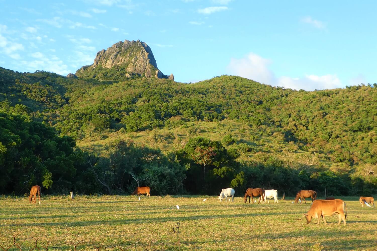 Discover the beautiful nature of Kenting National Park in Taiwan