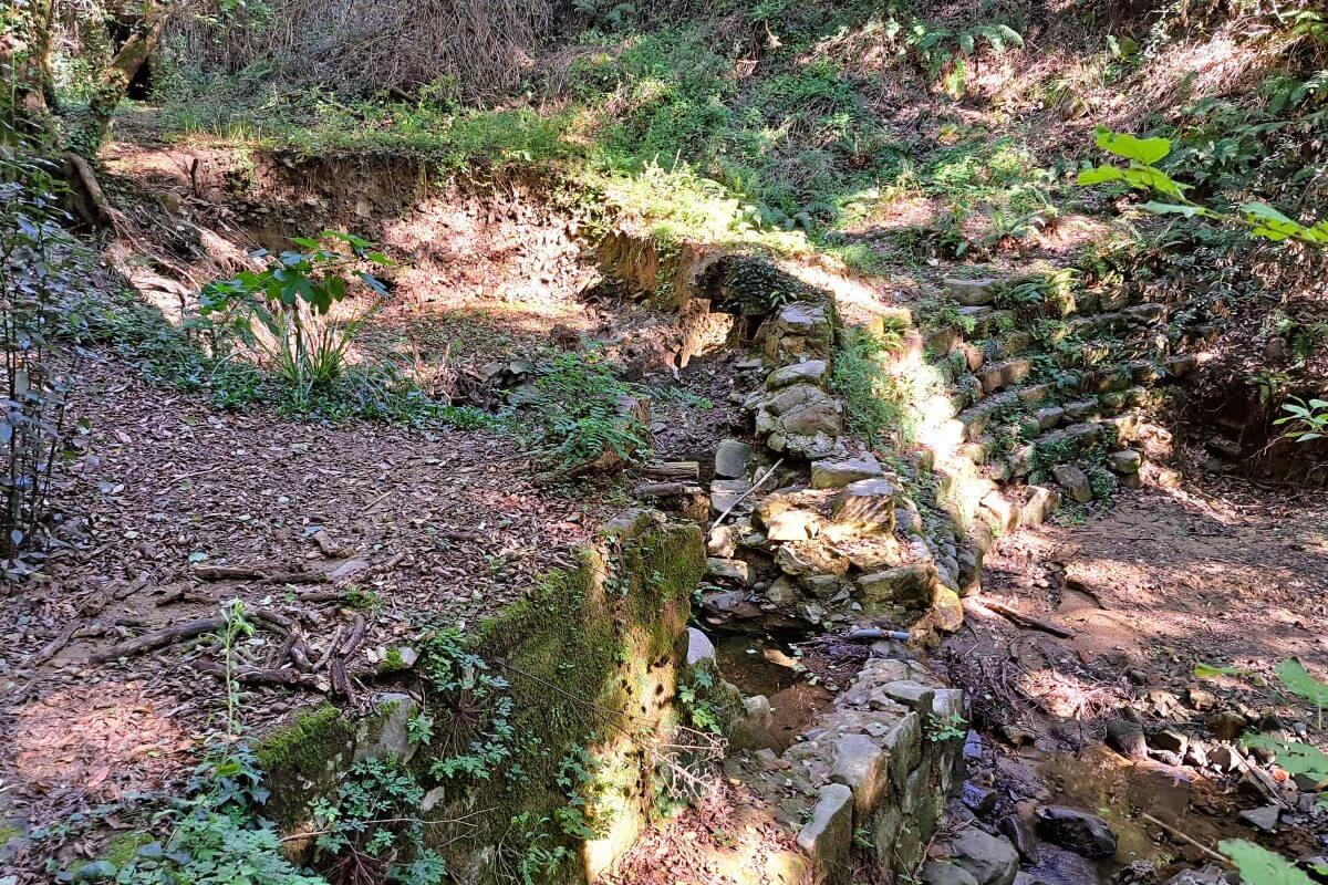 Mulino della Doccia in Vinci